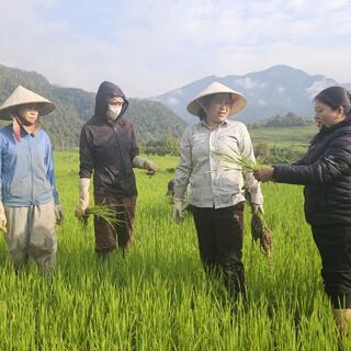 <a href="/tin-tuc-su-kien/thong-tin-kinh-te" title="Thông tin kinh tế" rel="dofollow">Kinh tế - Chính trị</a>