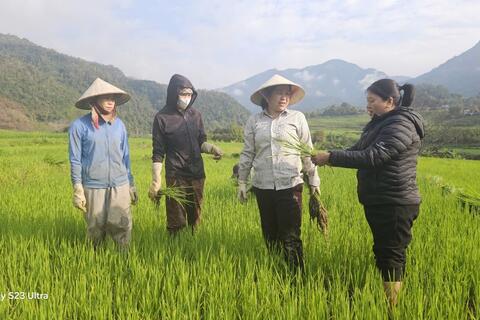 Xuống đồng sớm để khởi đầu cho mùa vụ mới